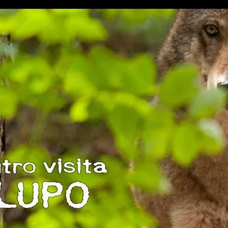 Appartamento Incentro