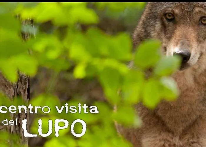 Апартаменты Incentro